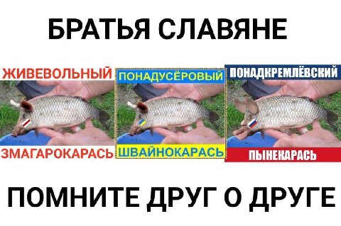 БРАТЬЯ СЛАВЯНЕ ПЫНЕКАРАСЬ ПОМНИТЕ ДРУГ О ДРУГЕ