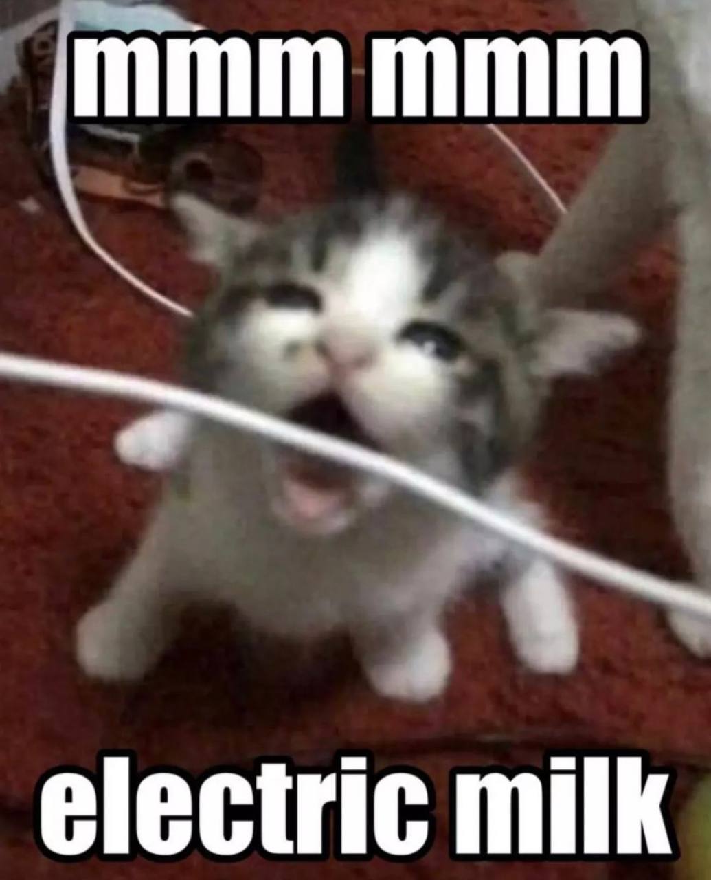 electric milk