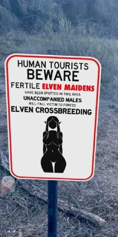“BEY FERTILE ELVEN MAIDENS HAVE BEEN SPOTTED IN THIS AREA UNACCOMPANIED MALES WILL FALL VICTIM To РОЯСЕО ELVEN CROSSBREEDING