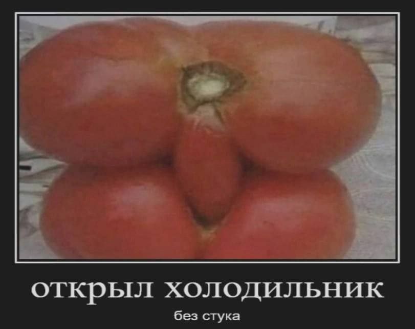 открыл холодильник без стука