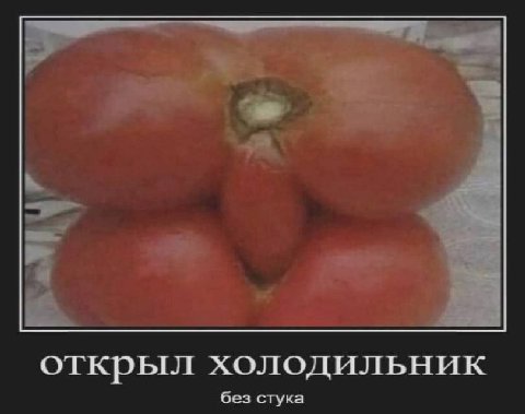 открыл холодильник без стука