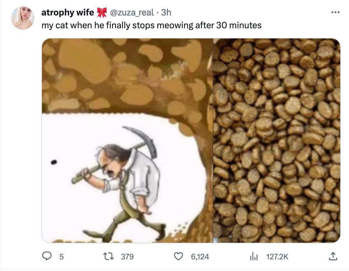atrophy wife @zuza_real my cat when he finally stops meowing after 30 minutes fej О 21 379 624 ili