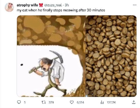 atrophy wife @zuza_real my cat when he finally stops meowing after 30 minutes fej О 21 379 624 ili