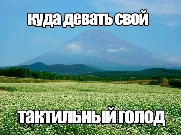 куда девать свой и голо wee