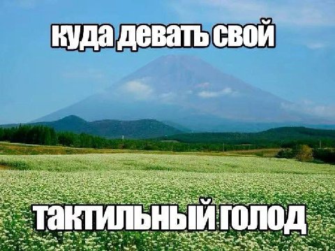 куда девать свой и голо wee