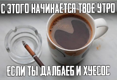 ЭТОГО НАЧИНАЕТСЯ ТВОЕ УТРО 7 Thi JLANGAEG ХЧЕСОС