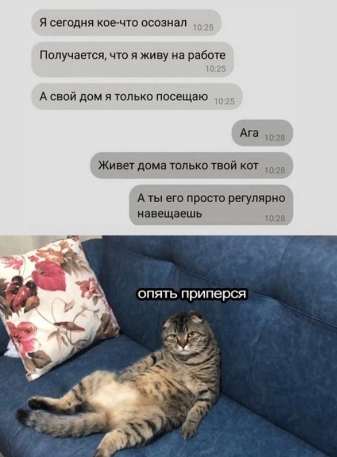 Я сегодня кое-что осознал Получается, что я живу на работе А свой дом я только посещаю Ага Живет дома только твой KOT А ты его просто регулярно навещаешь 1028 в. a опять приперся 7