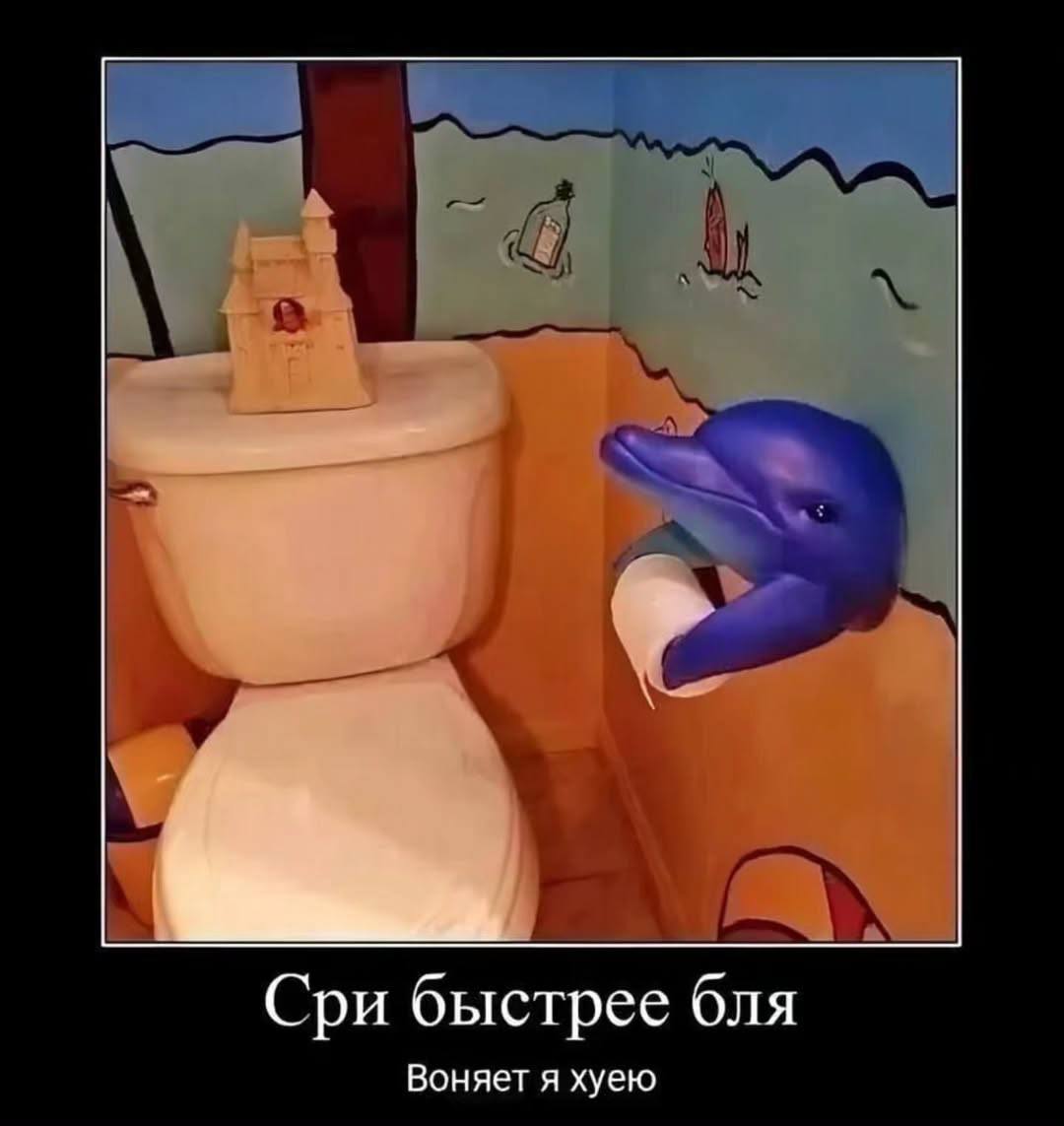 Сри быстрее бля Воняет я хуею