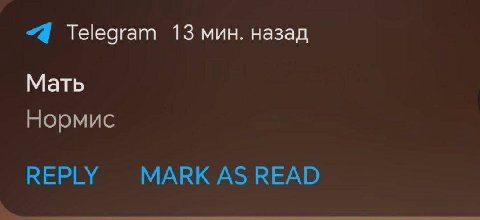 4 Telegram 13 мин. назад Мать Нормис REPLY MARK AS READ