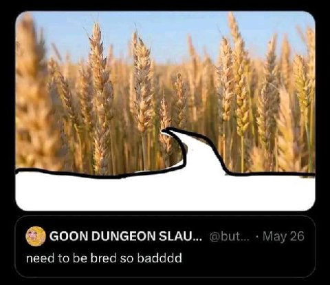 К a” к 4, 8 4 111 4 у 4 4 7 у 4 2 GOON DUNGEON SLAU... May 26 need to be bred so badddd