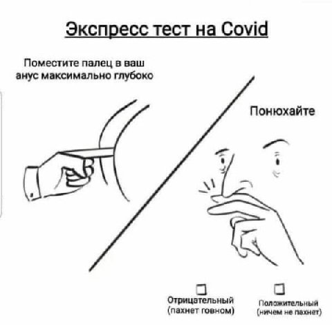 Экспресс тест на Covid Поместите палец в ваш анус максимально глубоко Понюхайте Отрицательный Положительный (пахнет говном) (ничем не пахнет)