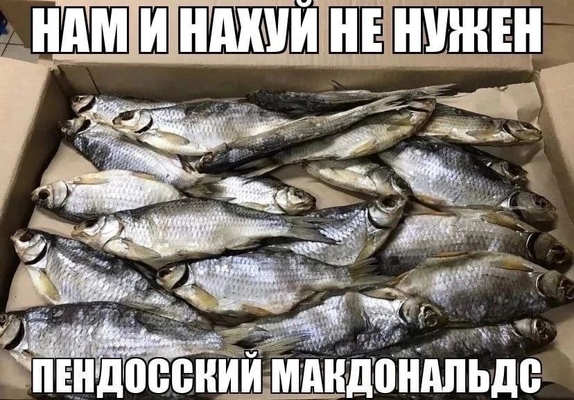 it 'ИНАКУИ НЕ НУЖЕН „9 auf ate `ПЕНДОССНИЙ МАКДОНАЛЬДС