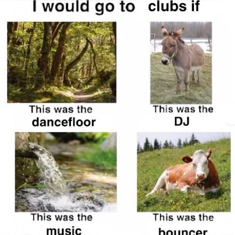 would goto clubs if 4 This was the This was the dancefloor This was the This was the music