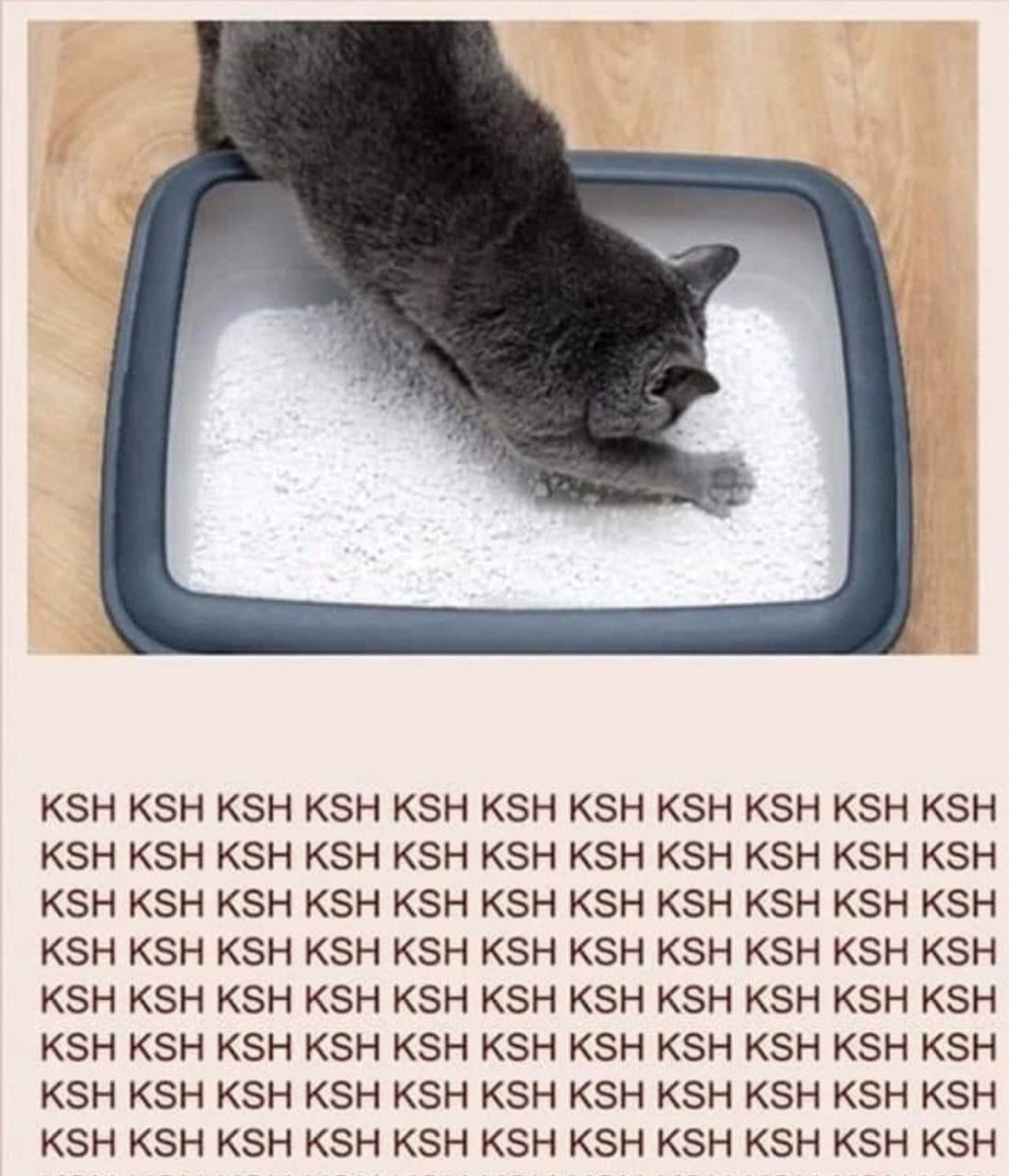 KSH KSH KSH KSH KSH KSH KSH KSH KSH KSH KSH KSH KSH KSH KSH KSH KSH KSH KSH KSH KSH KSH KSH KSH KSH KSH KSH KSH KSH KSH KSH KSH KSH KSH KSH KSH KSH KSH KSH KSH KSH KSH KSH KSH KSH KSH KSH KSH KSH KSH 
