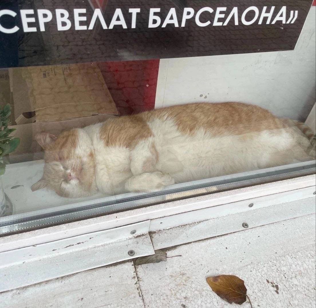 ЕРВЕЛАТ БАРСЕЛОНАЛ
