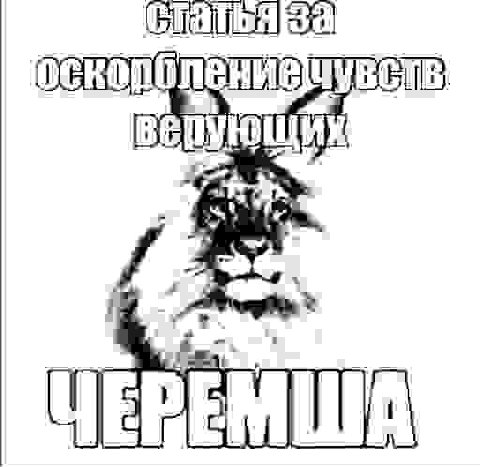 OCKO Чувств: ЧЕРЕМША