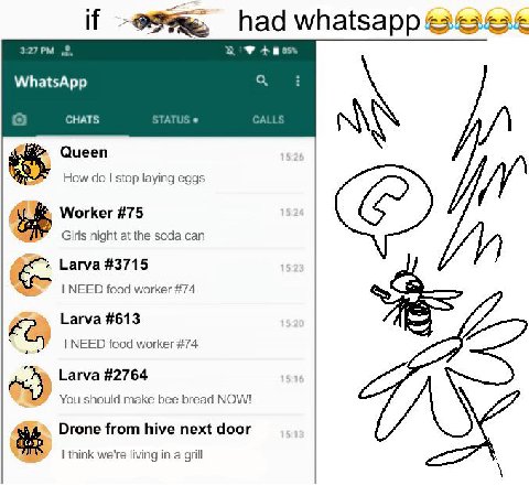 if had ‚0. WhatsApp CHATS STATUS CALLS Queen How stop laying eggs Worker #75 rik Girls night at the soda can Larva #3715 NEED food worker #74 Larva #613 NEED food worker #74 Larva #2764 You should mak