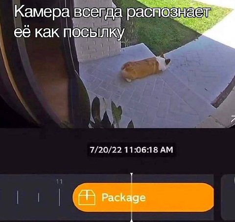 Камера всегда рас её как посылку 7/20/22 11:06:18