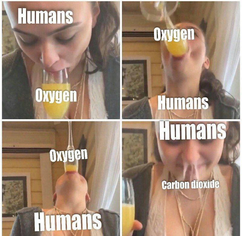 Humans Humans Carbon dioxid it