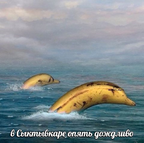 6 Сыктывкаре опять