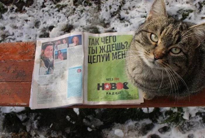 at 5 he TAK ЧЕГО A ЦЕЛУИ i ING 4