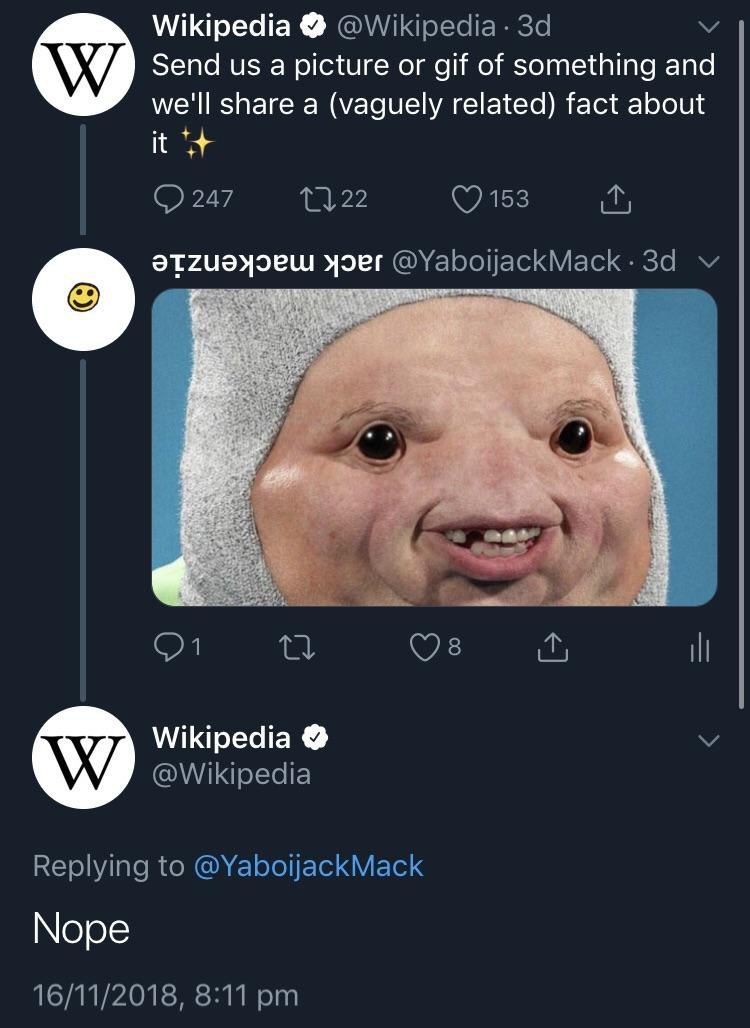 Wikipedia @Wikipedia Send a picture or gif of something and we'll share a (vaguely related) fact about it 247 (7 153 хэег Wikipedia @Wikipedia Replying to @YaboijackMack Nope 16/11/2018, 8:11