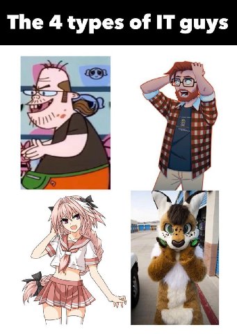 The 4 types of IT guys У