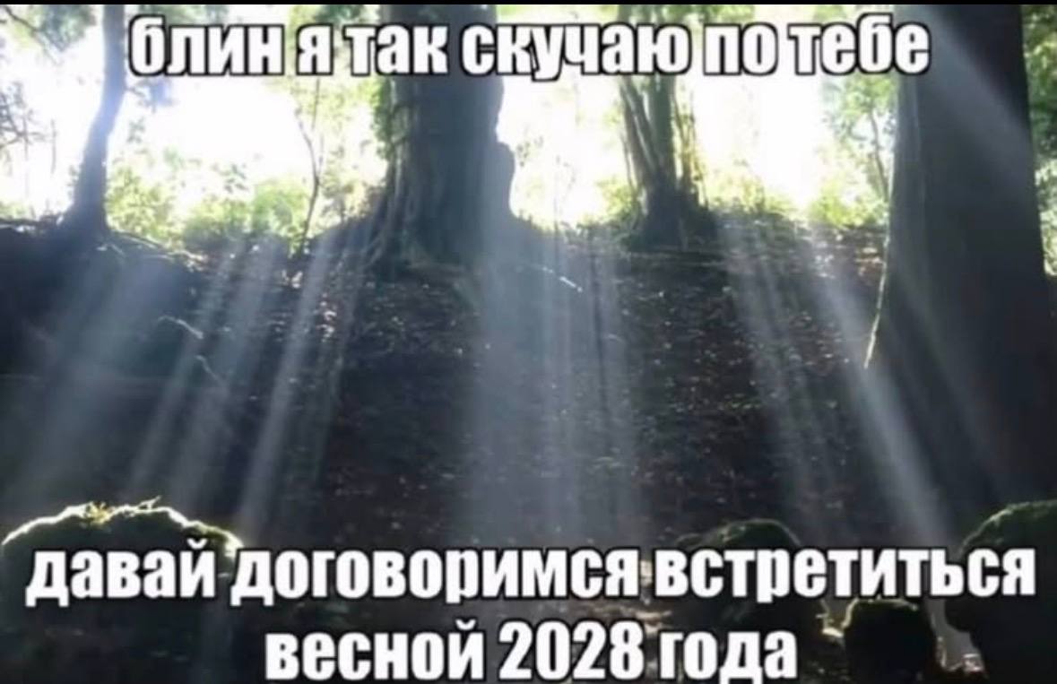 договоримсявстретиться весной