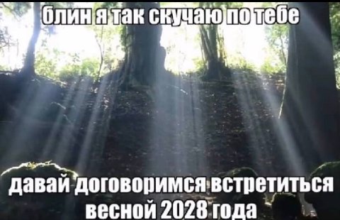 договоримсявстретиться весной