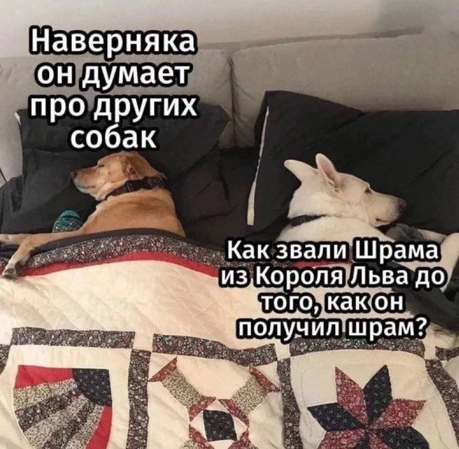 Наверняка он думает про других собак Как звали Шрама M3,Kopona Льва до TOTO,: KaK учил. шрам?