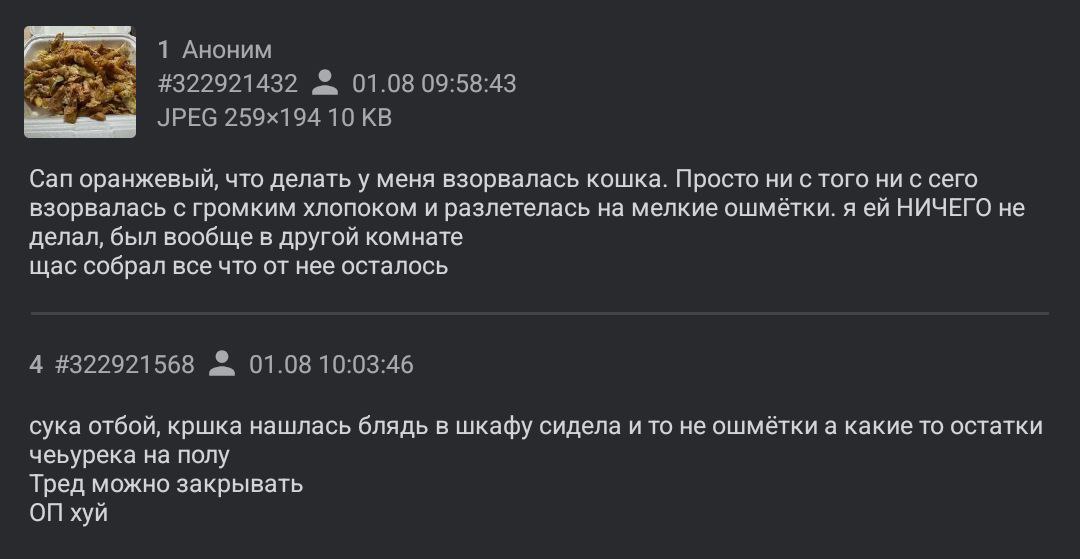 1 Аноним #322921432 01.08 09:58:43 JPEG 10 Can оранжевый, что делать у меня взорвалась кошка. Просто ни с того ни с сего взорвалась с громким хлопоком и разлетелась на мелкие ошмётки. я НИЧЕГО не дела