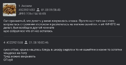 1 Аноним #322921432 01.08 09:58:43 JPEG 10 Can оранжевый, что делать у меня взорвалась кошка. Просто ни с того ни с сего взорвалась с громким хлопоком и разлетелась на мелкие ошмётки. я НИЧЕГО не дела