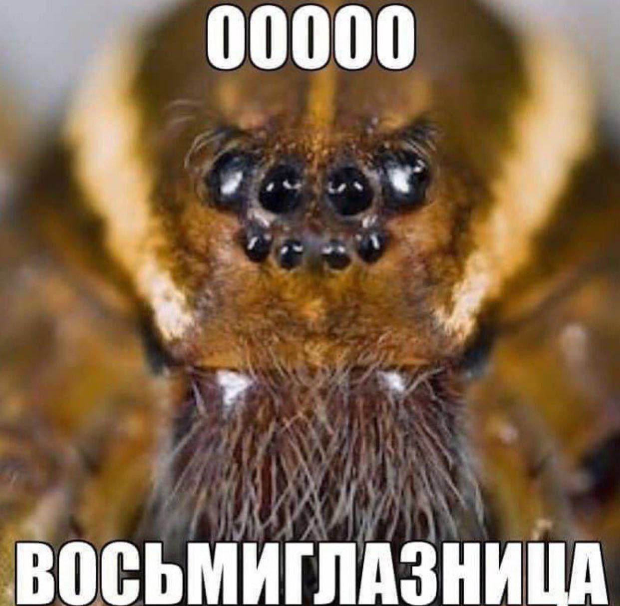 00000