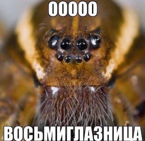 00000