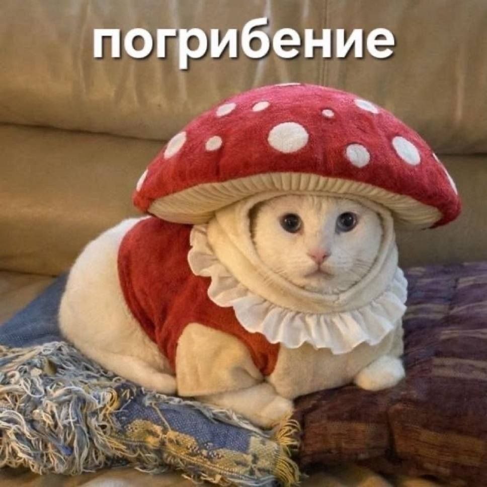 погрибение