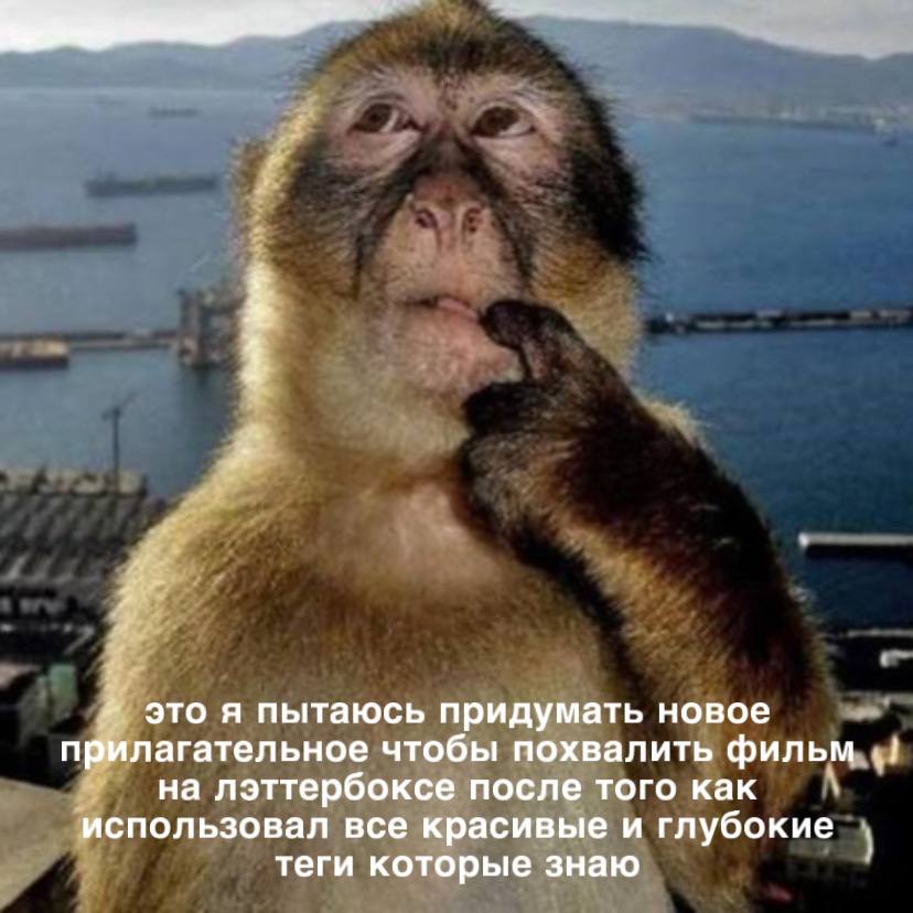 это я пытаюсь придумать новое прилагательное чтобы похвалить фильм на лэттербоксе после того как использовал все красивые и глубокие теги которые знаю