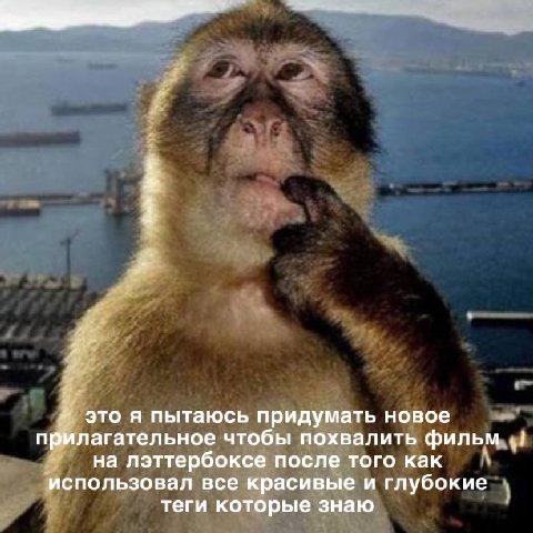 это я пытаюсь придумать новое прилагательное чтобы похвалить фильм на лэттербоксе после того как использовал все красивые и глубокие теги которые знаю