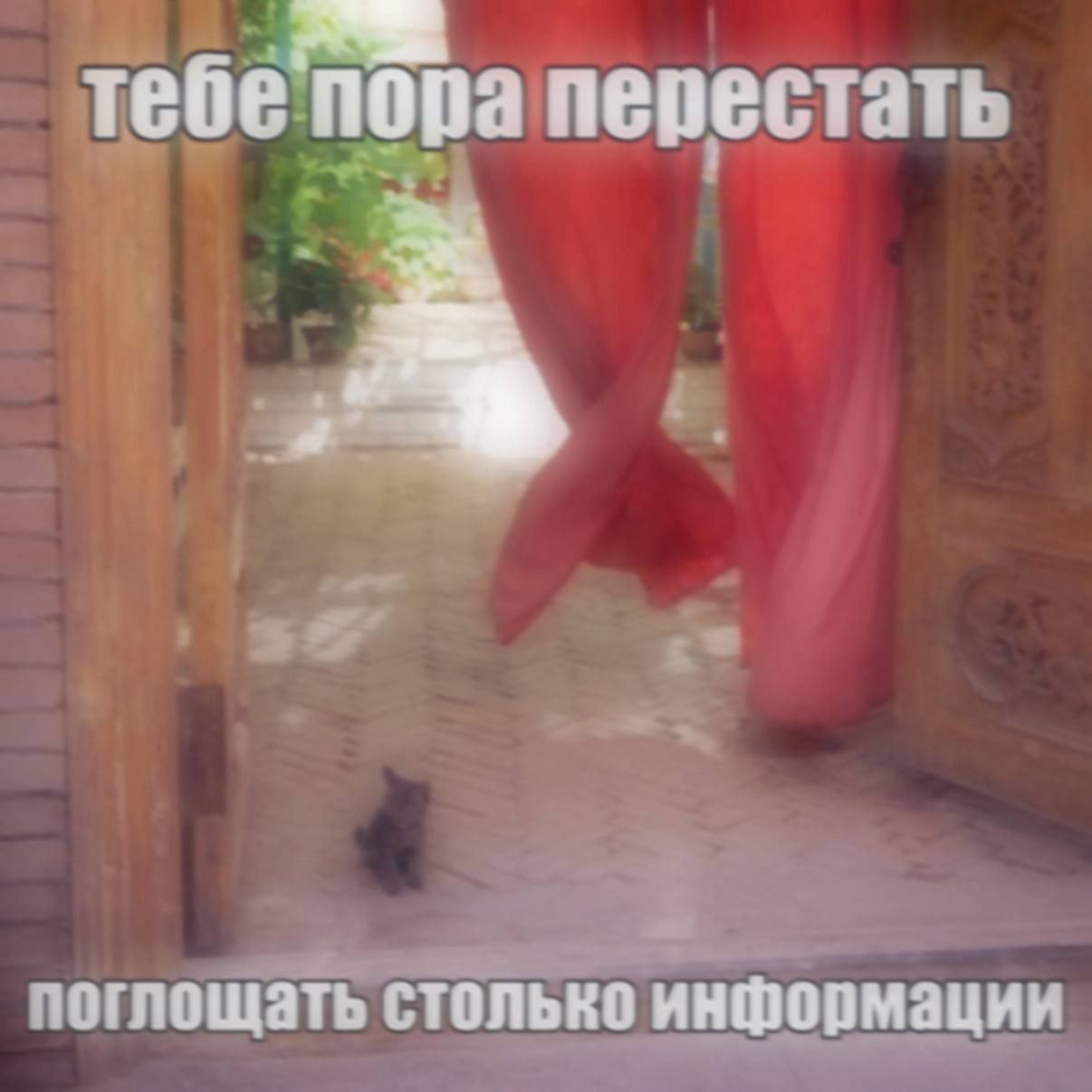 тебе' пора перестать поглощать столько информации