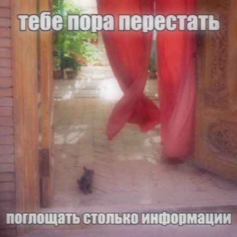 тебе' пора перестать поглощать столько информации