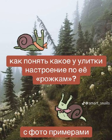как понять какое у улитки настроение по её «рожкам»? bof @smart_snails с фото примерами