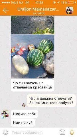 Tele2 17:52 4 Uraljon Mamanazar... на сайте ты малчеш не отвечаешь красавица Что я должна отвечать? Зачем мне твои арбузы? Нефига себя Иди на хуй (9)