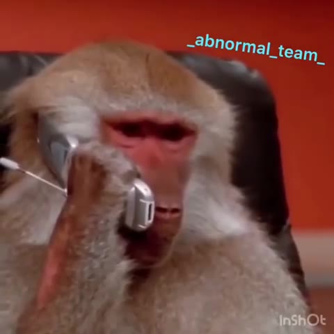 -абпогта Lteam_ -Ябпогта| еат_