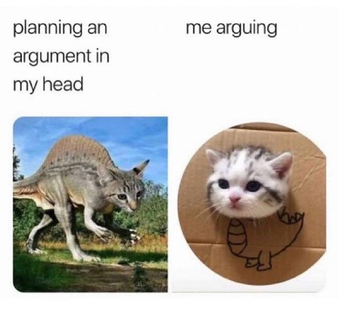 planning me arguing argument in my head