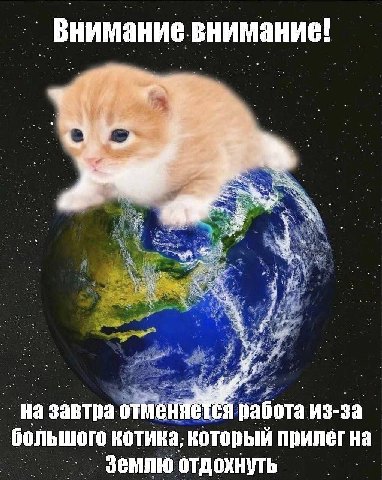 Внимание внимание! отменяется работа из-за большого котика, который прилег на Землю отдохнуть