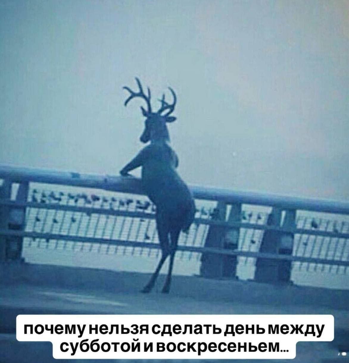 сделать деньмежду субботойивоскресеньем...