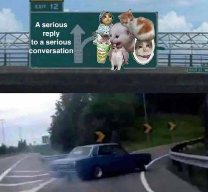 A serious reply to a serious conversation