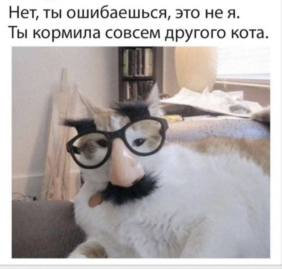 Нет, ты ошибаешься, это нея. Ты кормила совсем другого кота. С 3