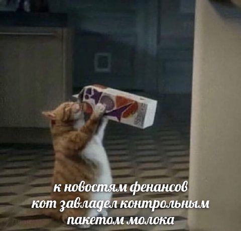 к новостям фенансов кот завладел пакетом молока