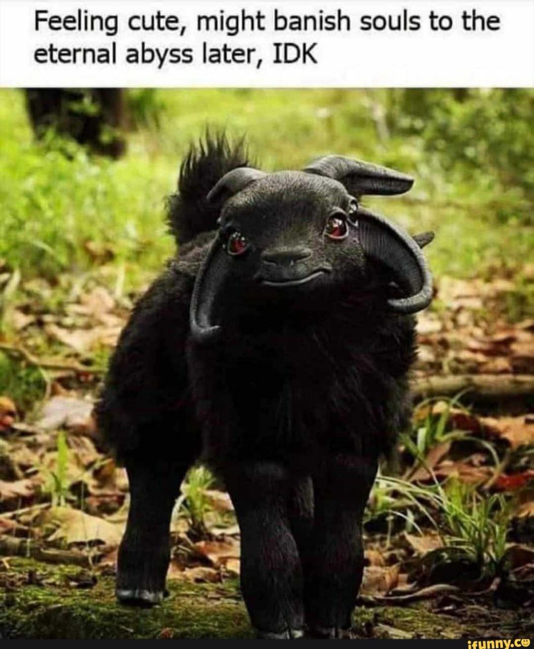 Feeling cute, might banish souls to the eternal abyss later, IDK a