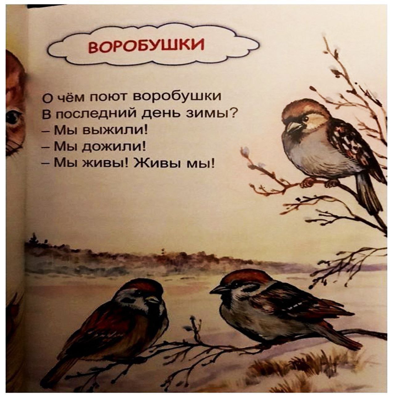 ВОРОБУШКИ О чём поют воробушки SEN В последний день зимы? Мы выжили! _-Мы дожили! Мы живы! Живы мы! A 2 4 a